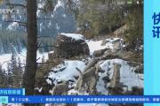 华体会APP下载-新疆雪豹客场辗转反复，获得关键胜利