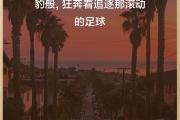 华体会体育赛事直播-球场上的激情呈现，激荡人心