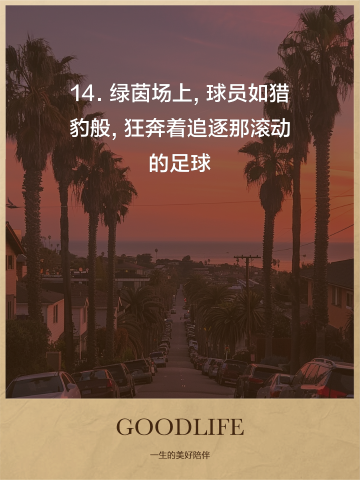 球场上的激情呈现，激荡人心