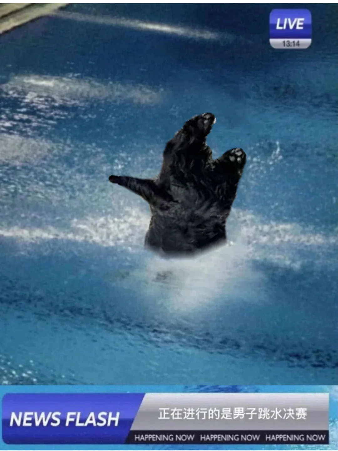 田径比赛惊现黑马，新加坡选手勇夺金牌